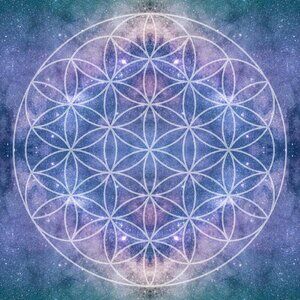 Meet your Posher, Nicki